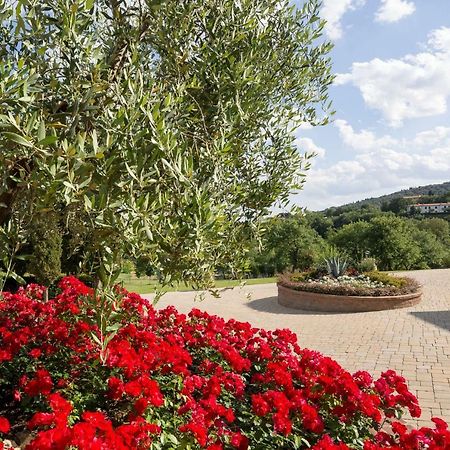 Vila Poggio Pellicciaia Arezzo Exteriér fotografie