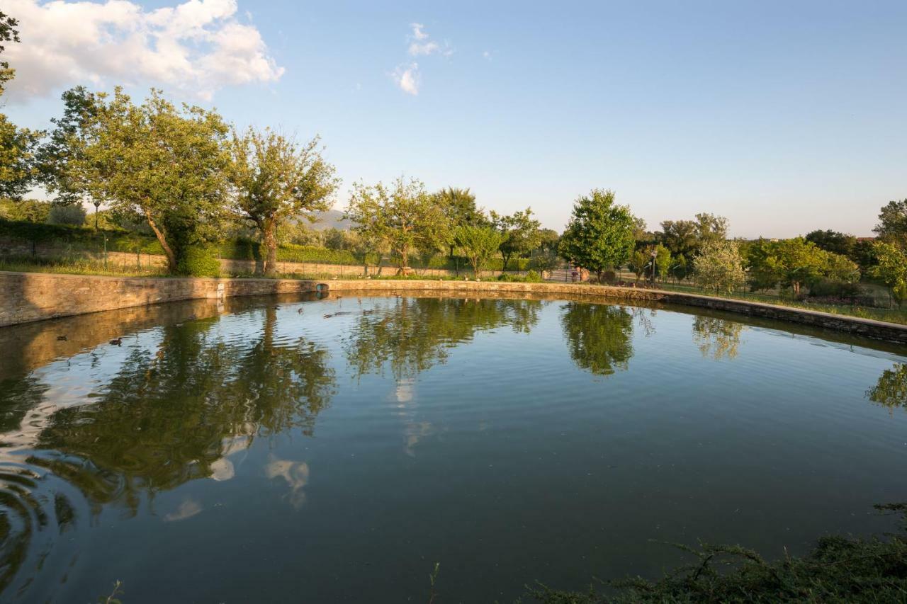 Vila Poggio Pellicciaia Arezzo Exteriér fotografie